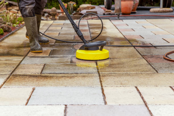 Best Paint Preparation  in Ripon, CA