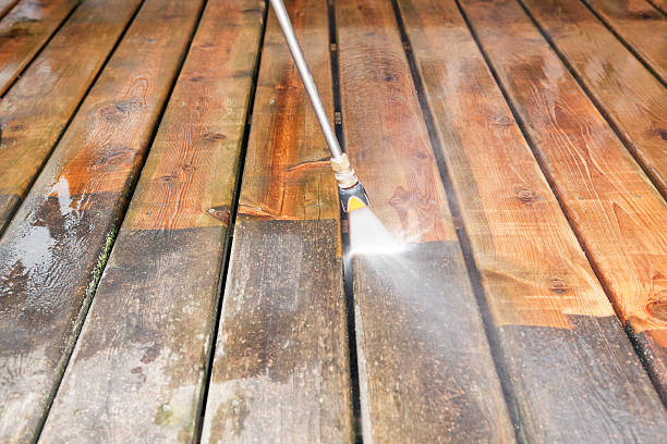 Best House Exterior Washing  in Ripon, CA