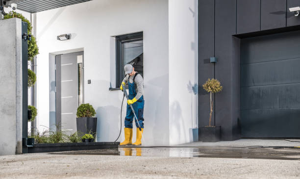 Best Solar Panel Cleaning  in Ripon, CA
